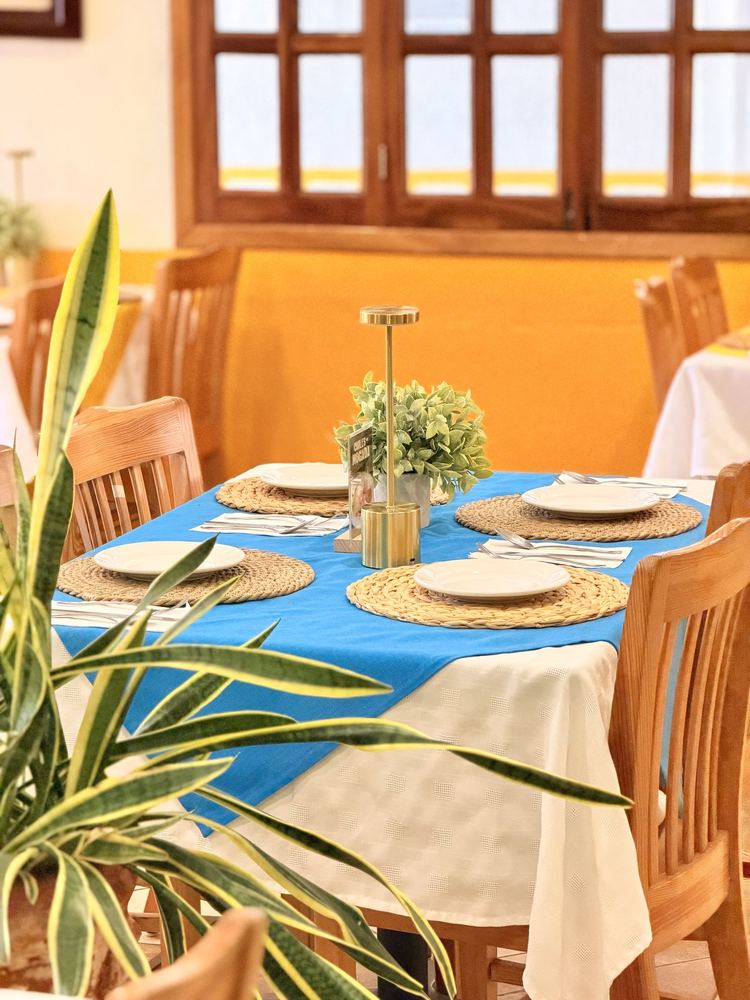 Mesa azul con planta para celebrar con amigos